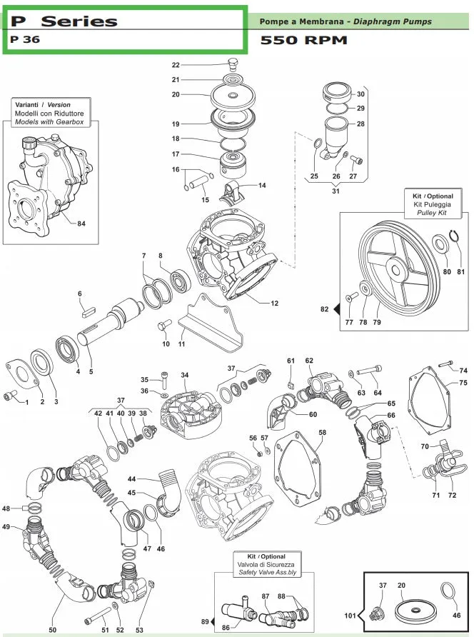 COMET P36 SOFT WASH SYSTEM (7350)