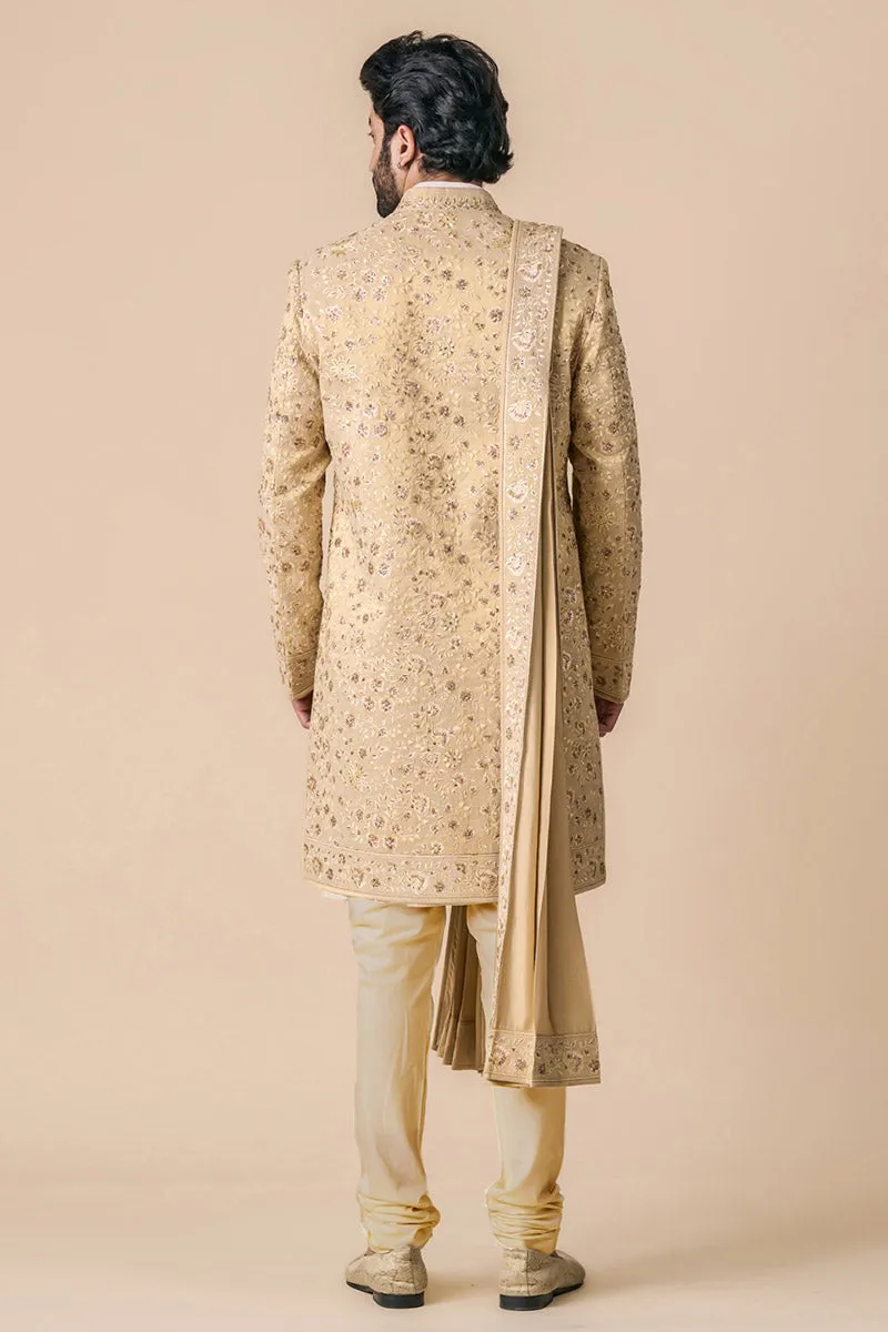 Gold All Over Embroidered Tissue Sherwani