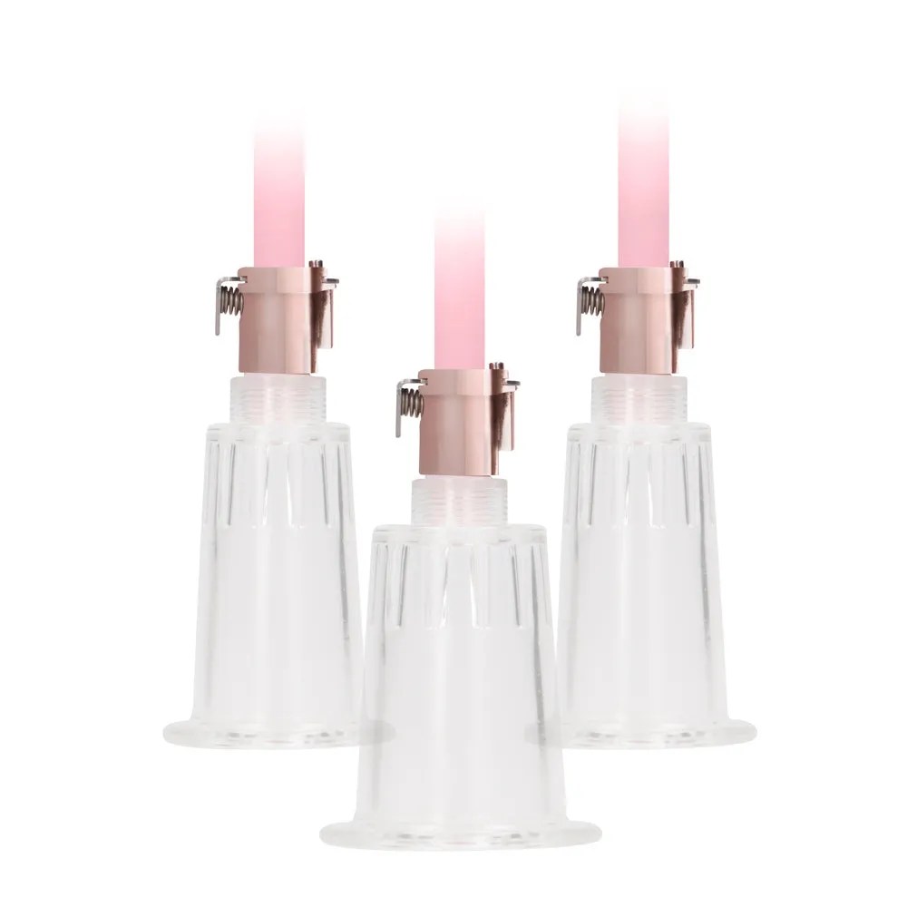 Pumped Clitoral and Nipple Pump Set